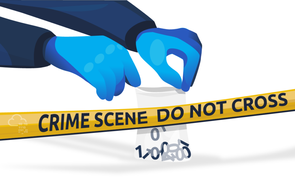 Screenshot from the 'Evidence Preservation:' section