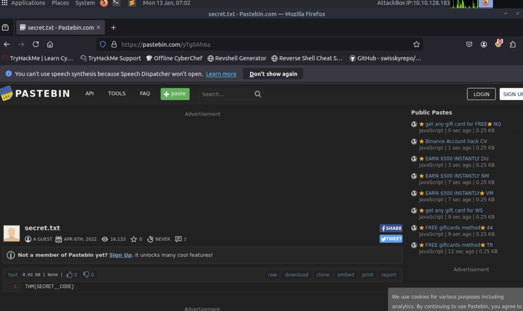 Screenshot: I headed to the url