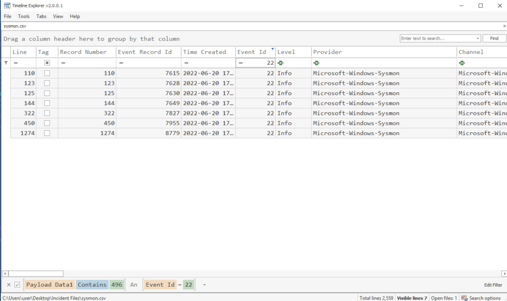 Screenshot: For the next one DNS Id is 22 for query, our process ID is 496 (1 of 2)