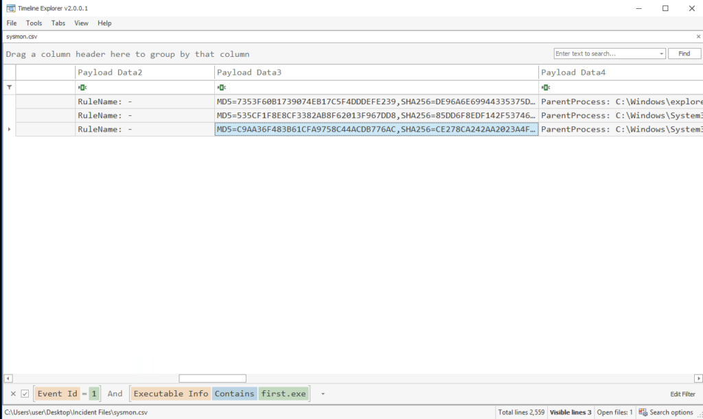 Screenshot: Now that we have the name of the executable we can filter for it directly (2 of 2)