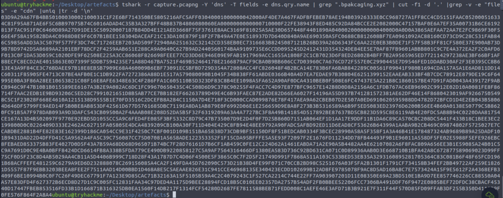 Screenshot: Wow a lot of output let's cleanup, explanation of what's used can be found in the Tshark room (or google)...