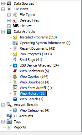 Screenshot: You will be able to view local files accessed in the Web history option in the left panel.
