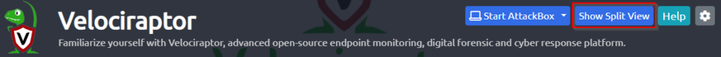 Screenshot: After fully loading, the virtual machine will appear in split view in your web browser. If you don't see the VM, click Show Split View.