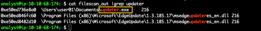Screenshot: cat filescan_out |grep updater