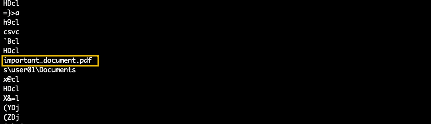 Screenshot: As we can observe, we immediately identified a possible key and a domain from a URL that the process may have accessed. Also, by scrolling...