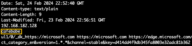 Screenshot: From the above, we can observe at the end of the HTTP request the content of the file encKey.txt, and on the same request, we can observe...